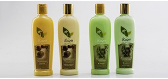 Shampoo natural con extracto de plantas
